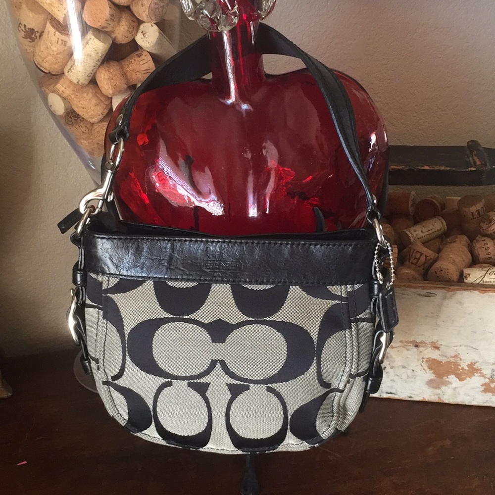 Coach Zoe Mini Signature Bag Gem